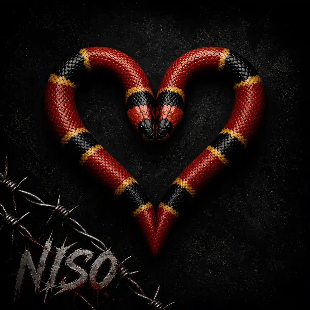 Niso