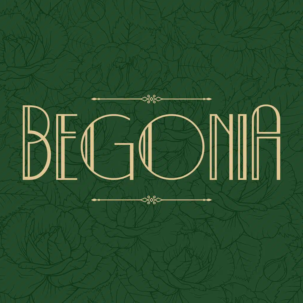 Begonia