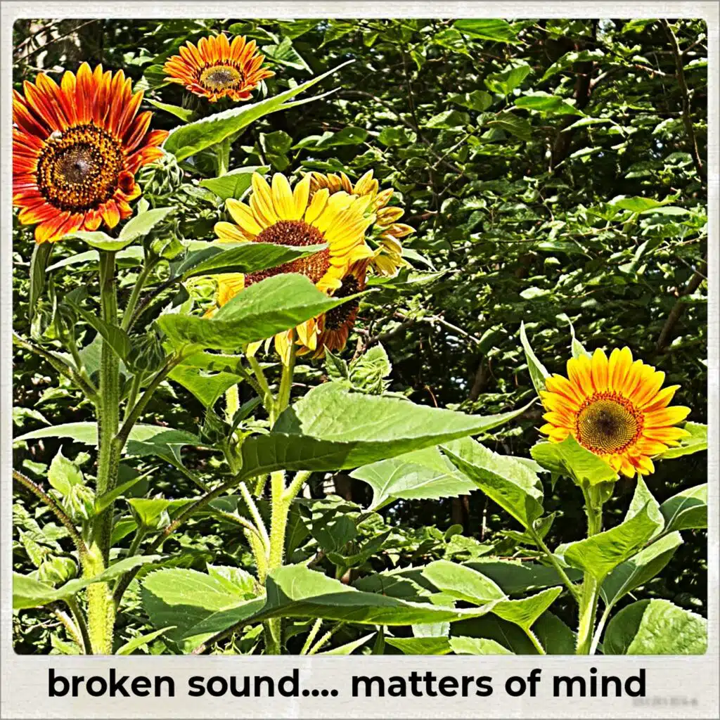 matters of mind