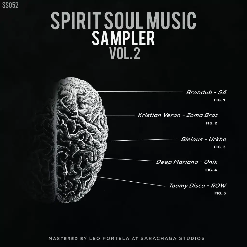 Spirit Soul Music Sampler, Vol. 2