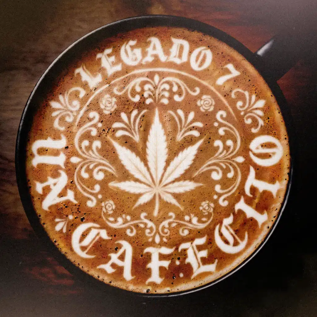 LEGADO 7