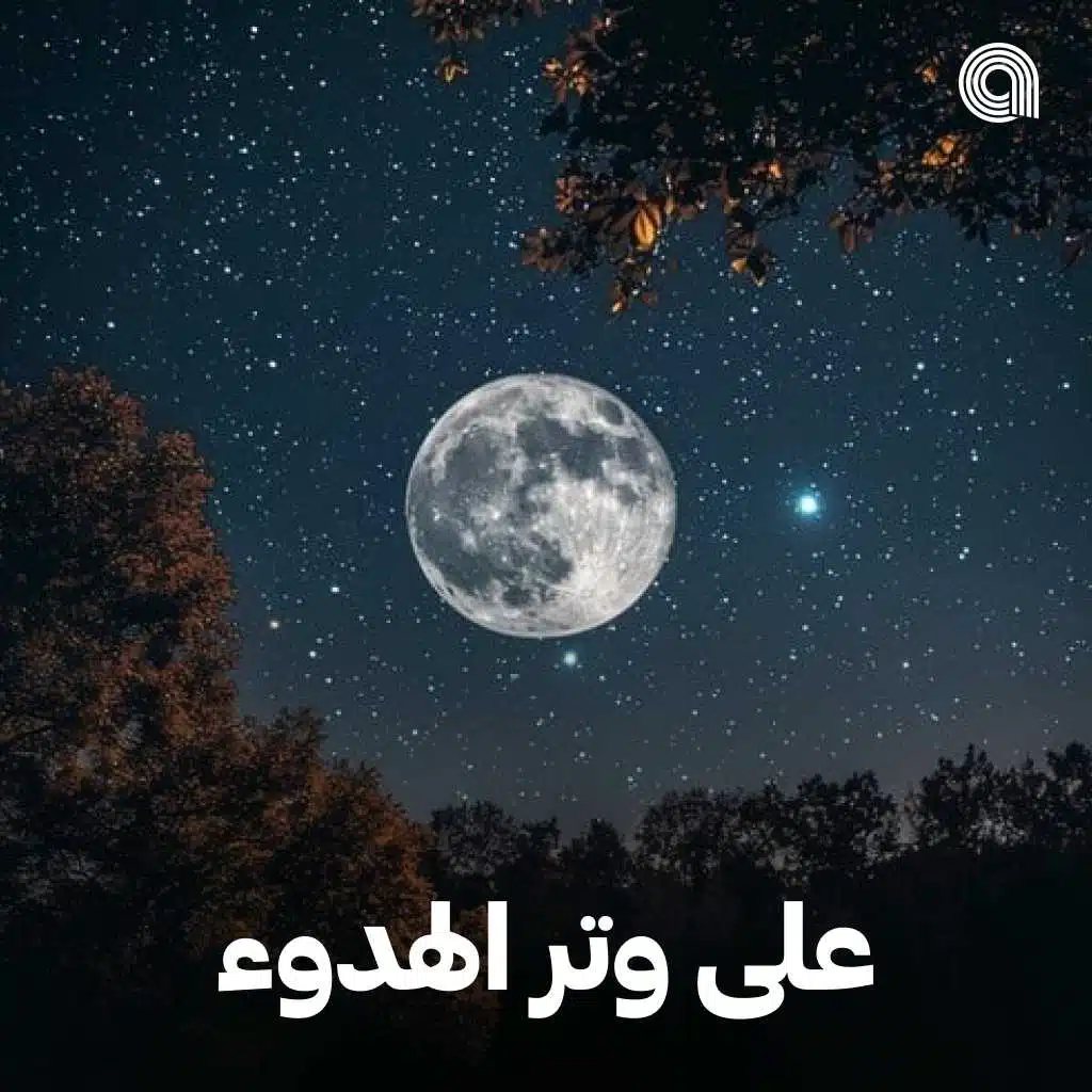 على وتر الهدوء