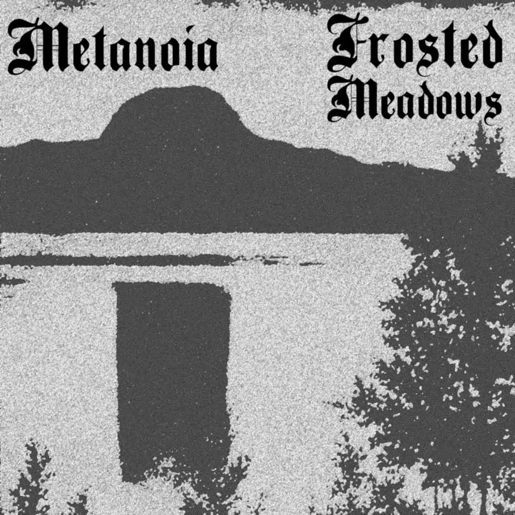 Metanoia / Frosted Meadows Split