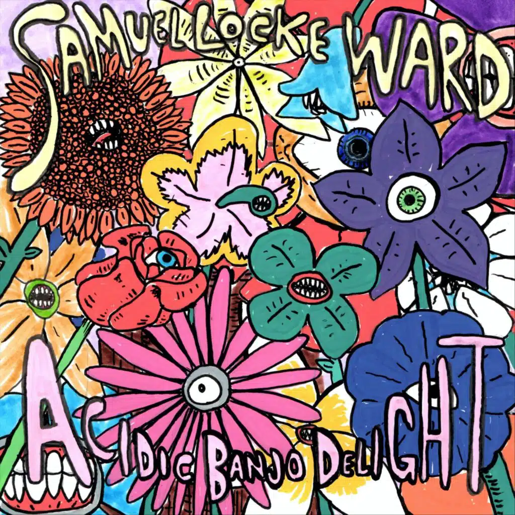 Acidic Banjo Delight