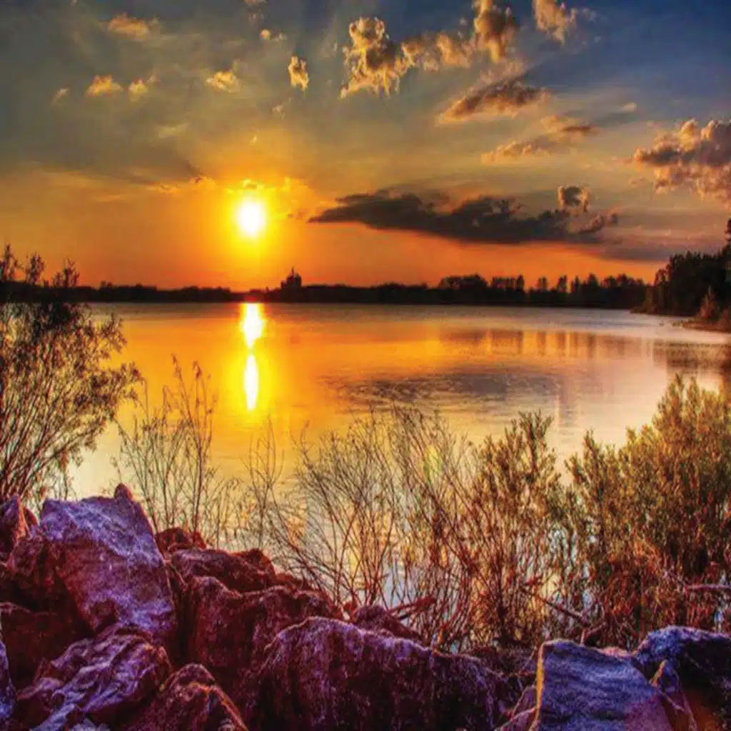 نور الصباح