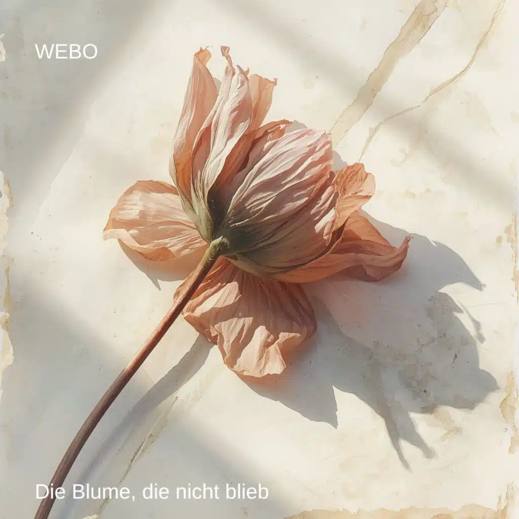 Webo