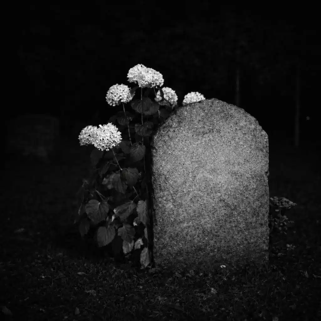 absence has a name (Instrumental Versions)