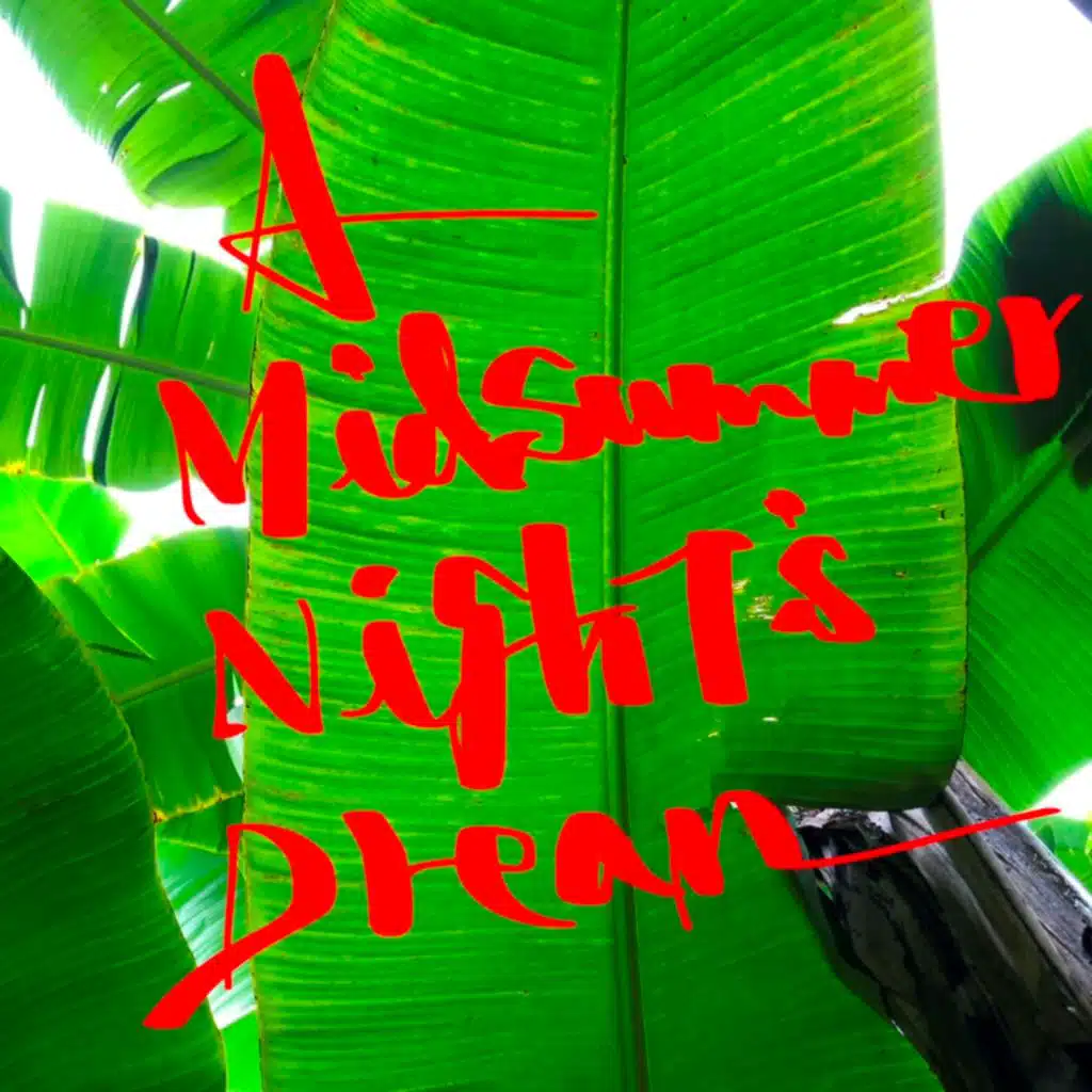 A Midsummer Night's Dream