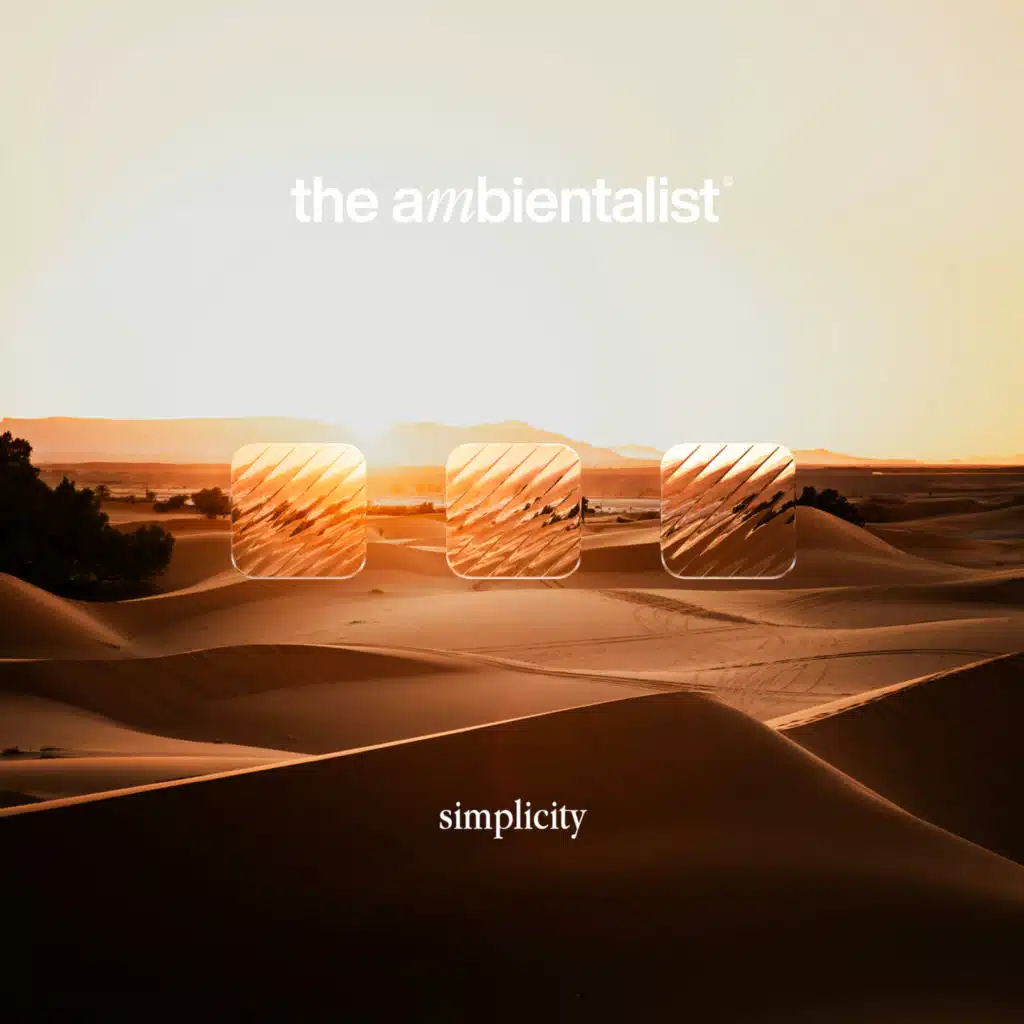 The Ambientalist
