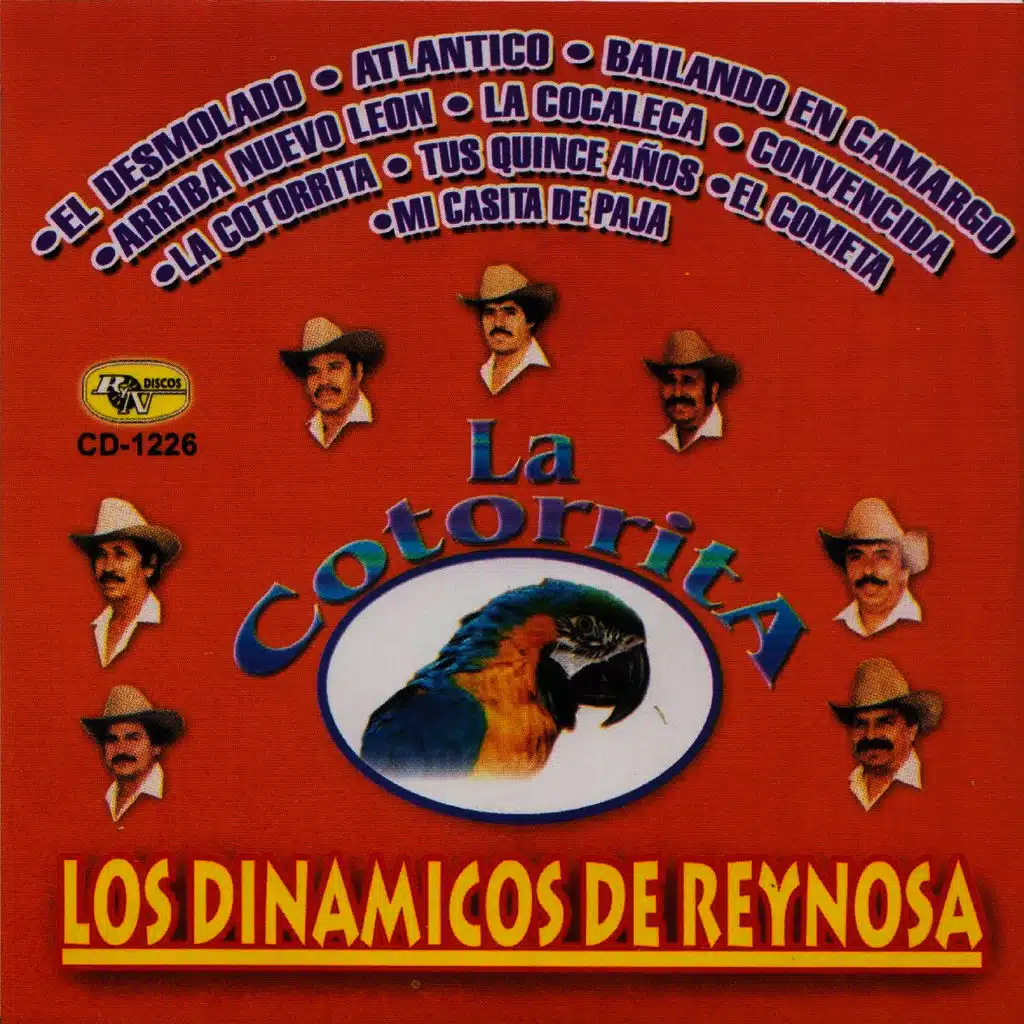 La Cotorrita