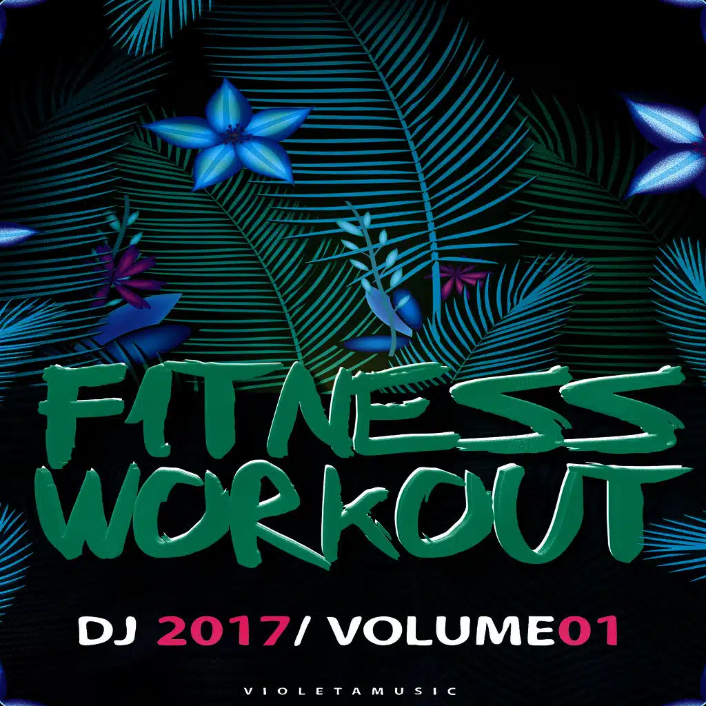Fitness & Workout DJ 2017