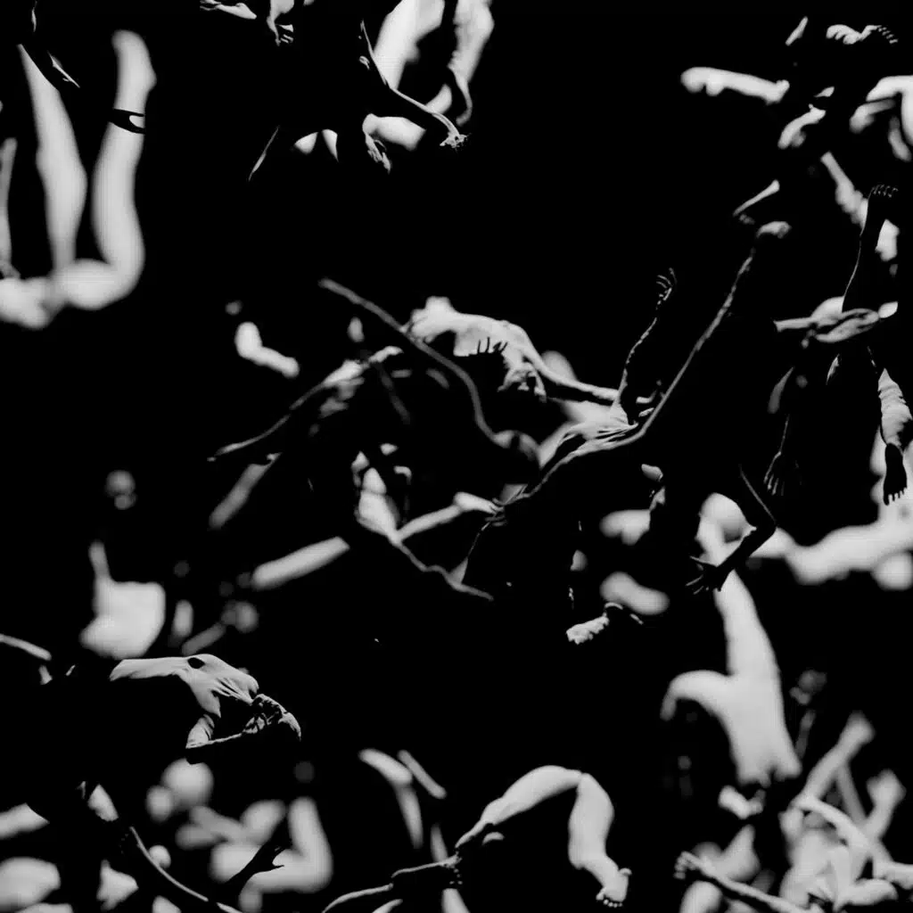 Jungle