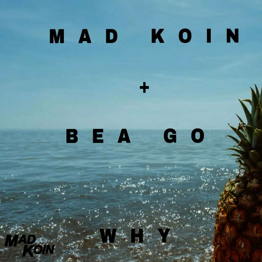 Why (feat. Bea Go)