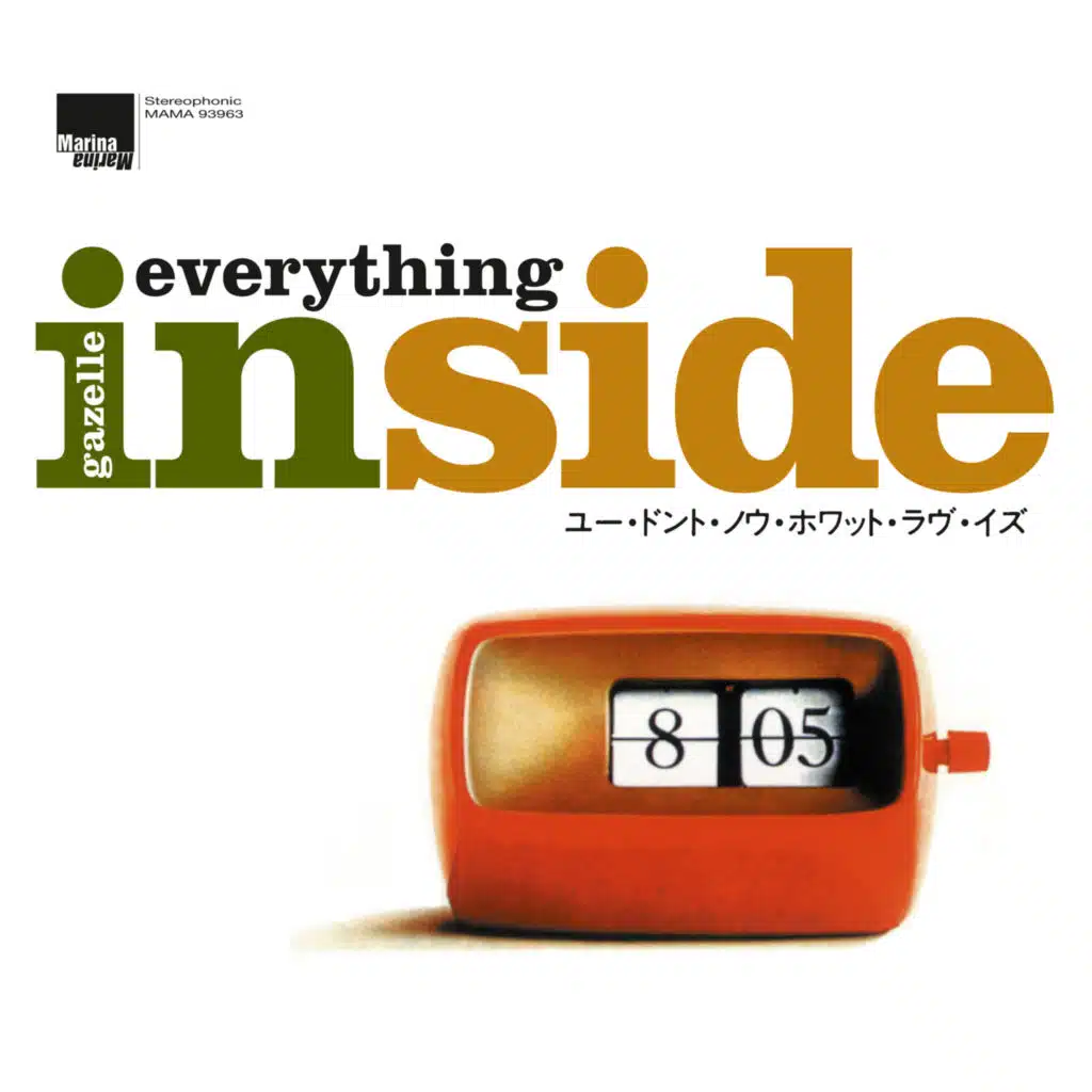 Everything Inside
