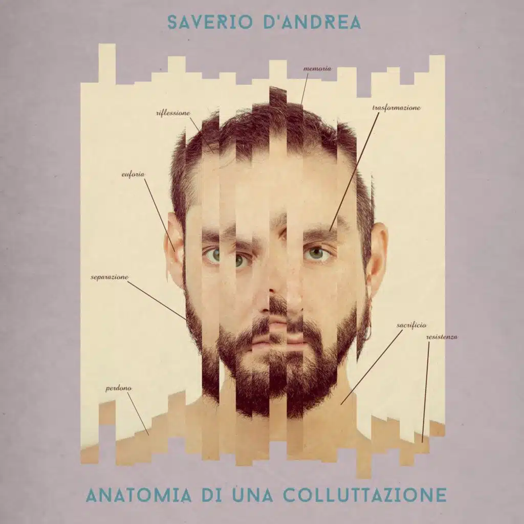 Anatomia di una colluttazione