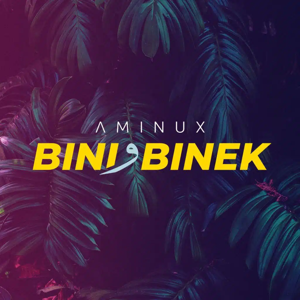 Bini W Binek