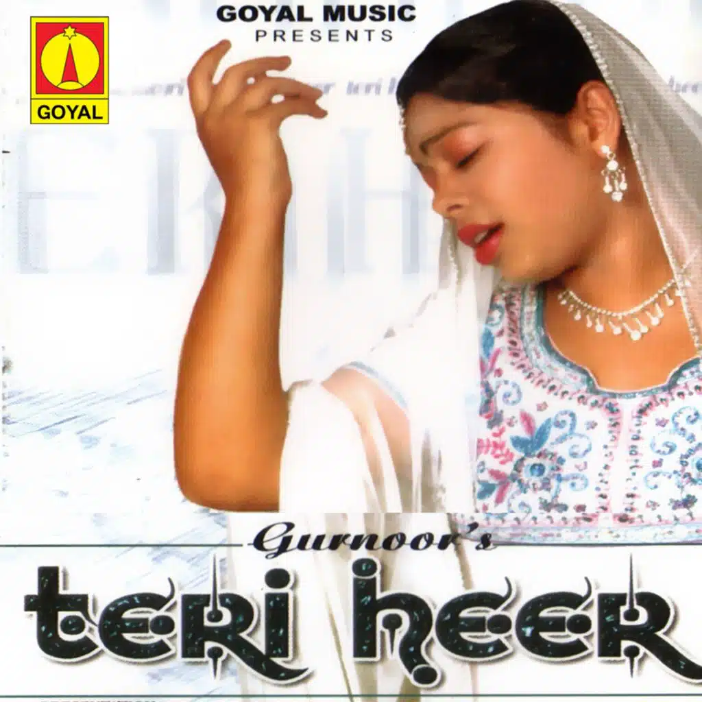 Teri Heer