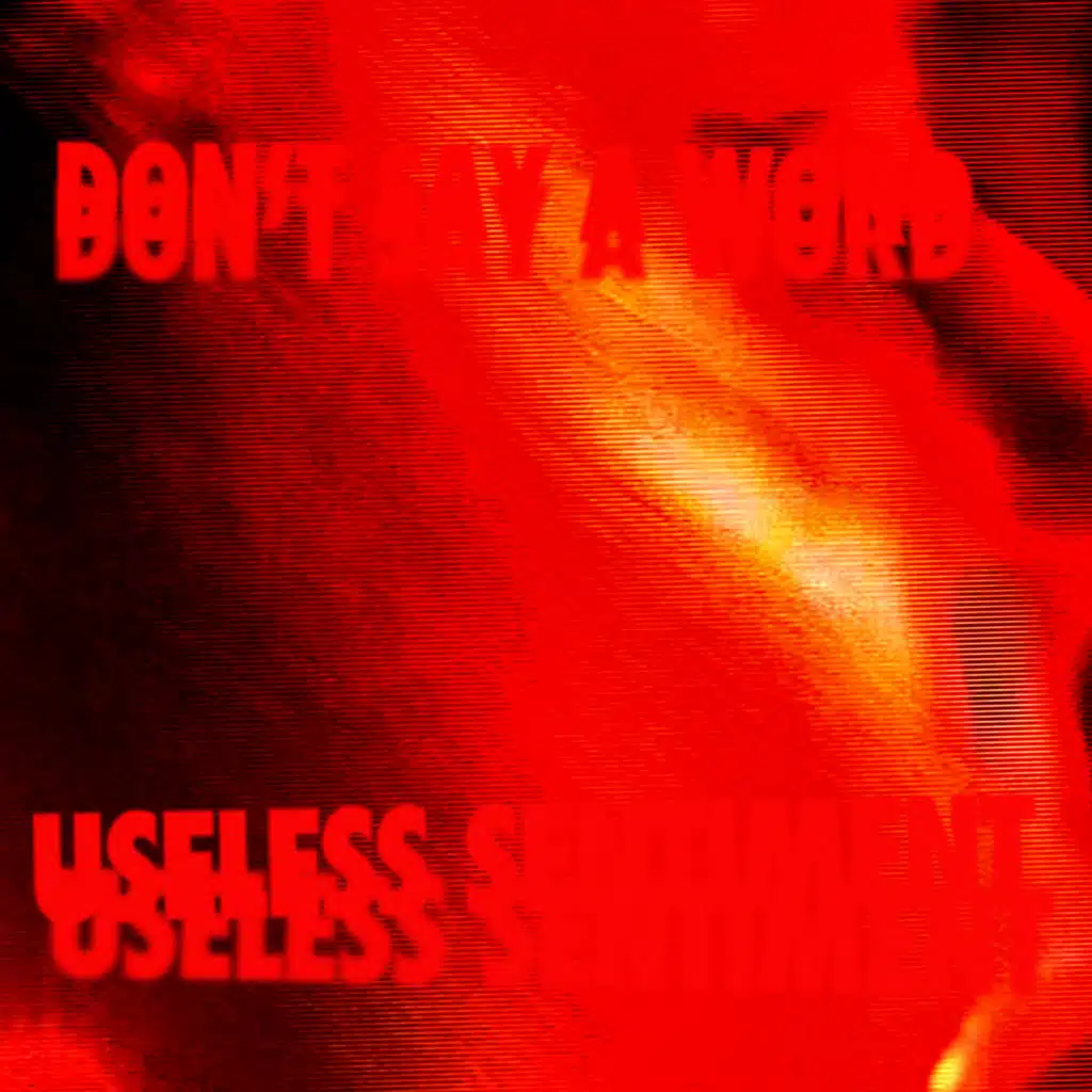 Don't Say A Word / Useless Sentiment