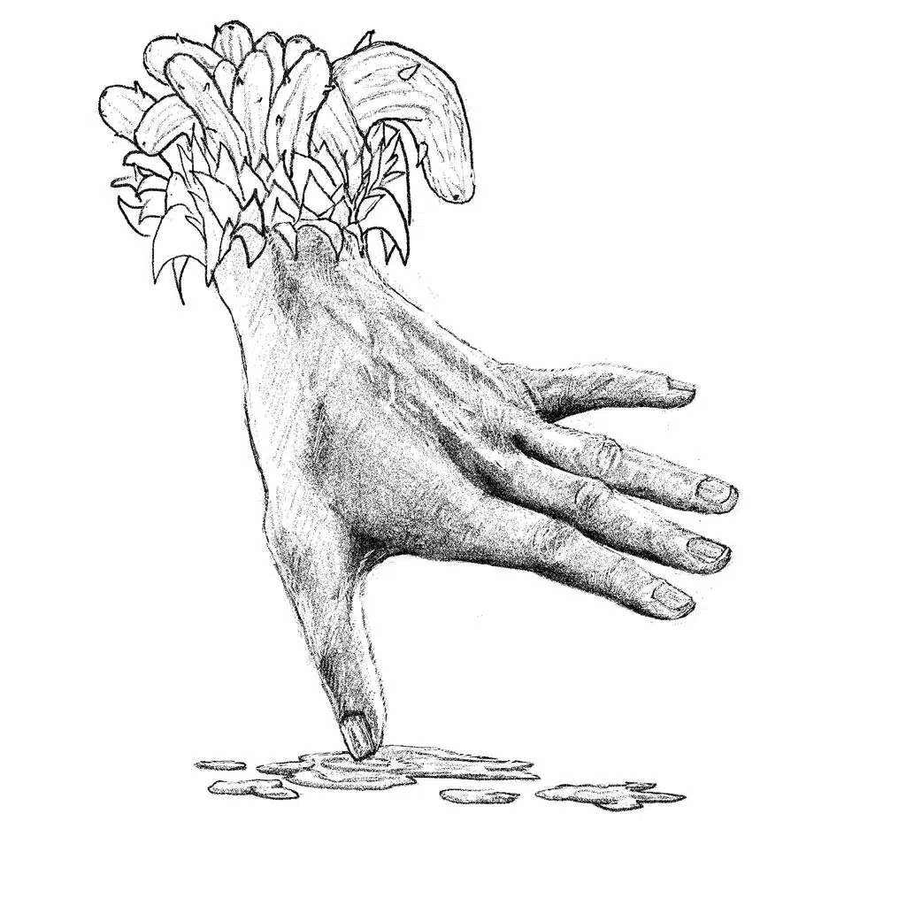 Roots of the Unseen - Metamorphosis I