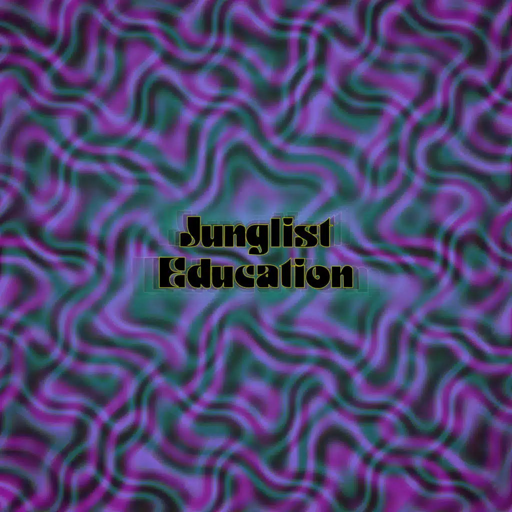 Junglist Education: A Collection of Jungle Tracks