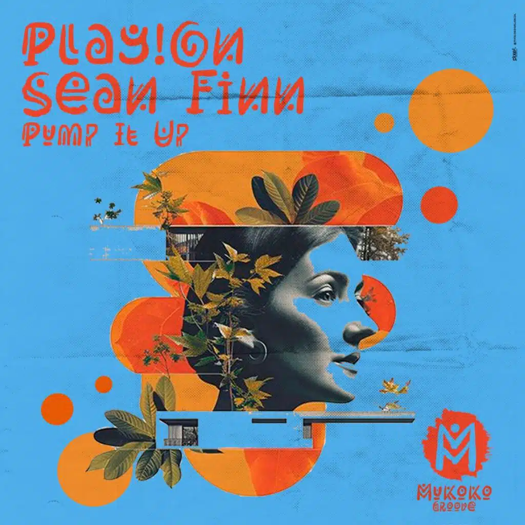 Pump It Up (Sean Finn & Play!On Festival Mix)