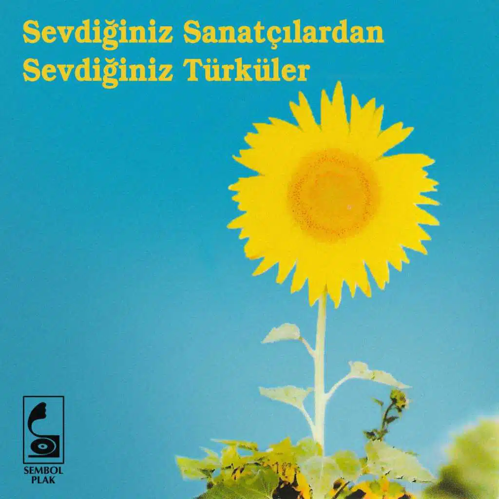 Sevdiğiniz Sanatçılardan Sevdiğiniz Türküler