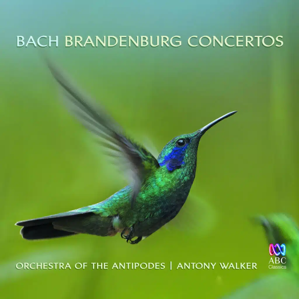 Orchestra of the Antipodes & Antony Walker