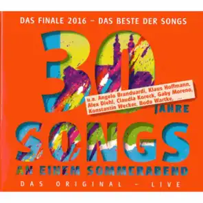 30 Jahre Songs an einem Sommerabend: Das Finale 2016 - Das Beste der Songs