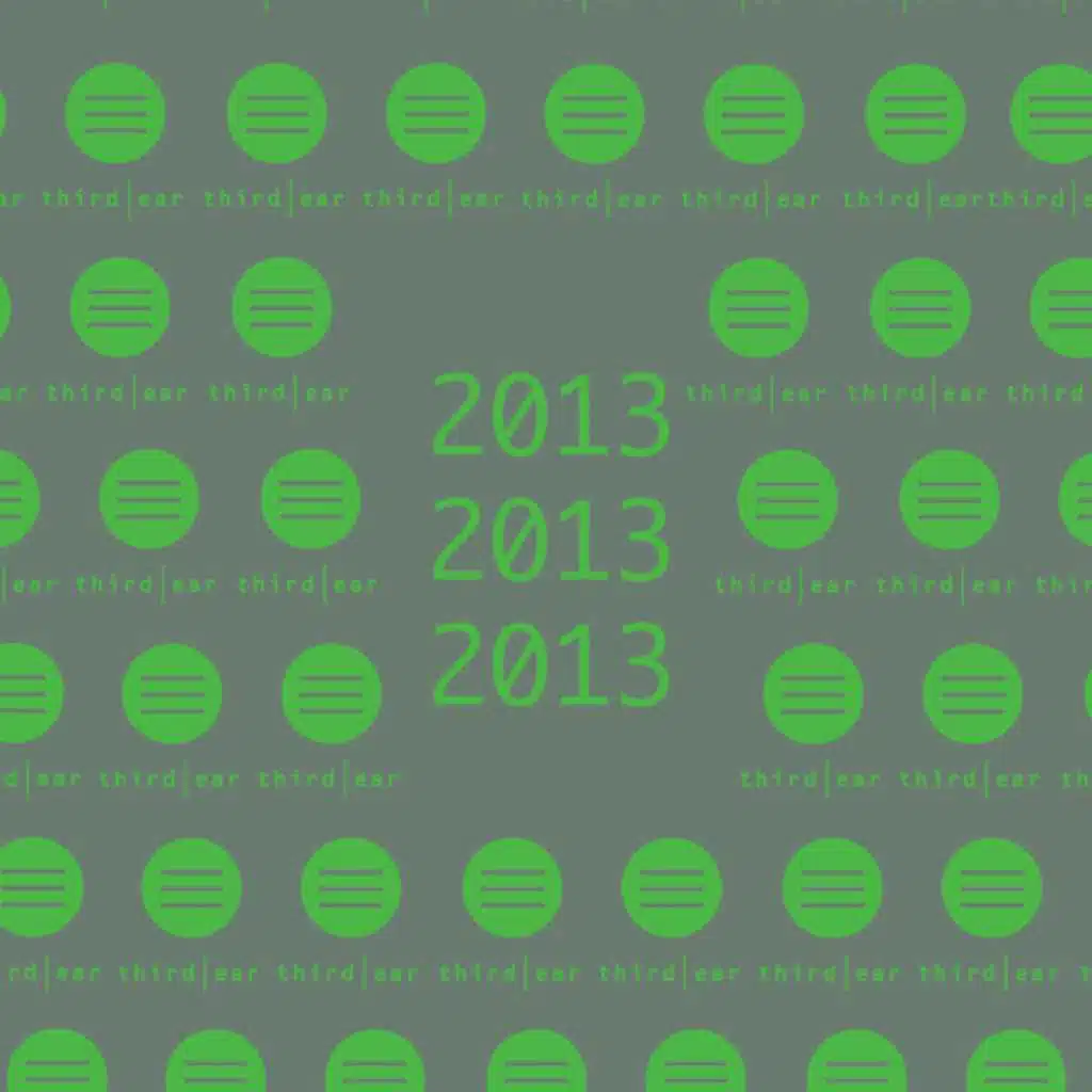 In Yer Third Ear 2013