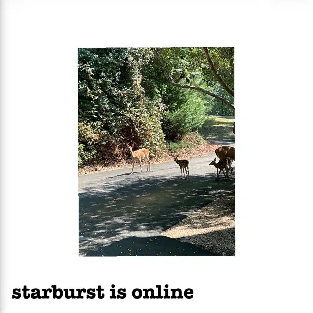 Starburst Is Online