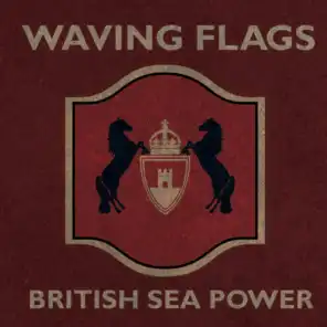 Waving Flags