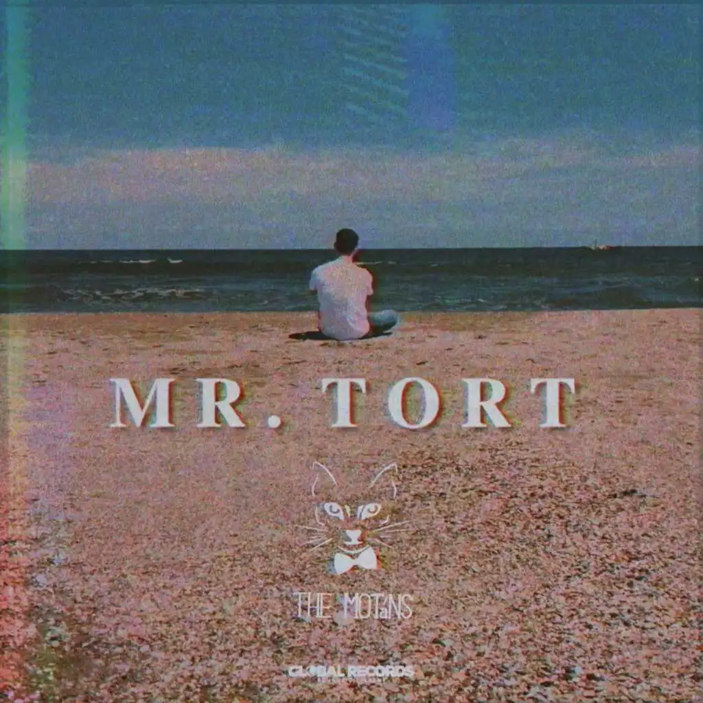 Mr. Tort