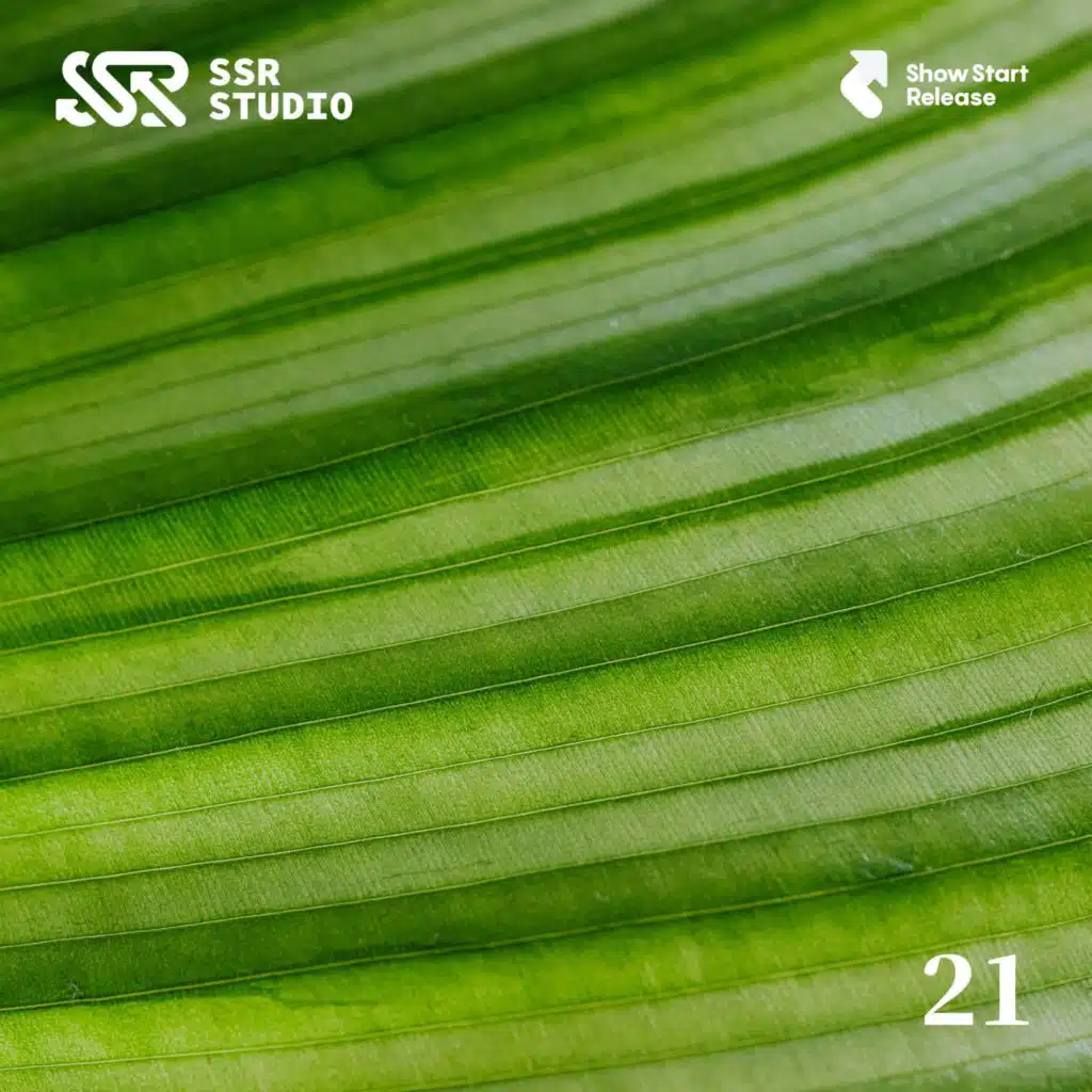 SSR Studio Scene Music-Vol.21