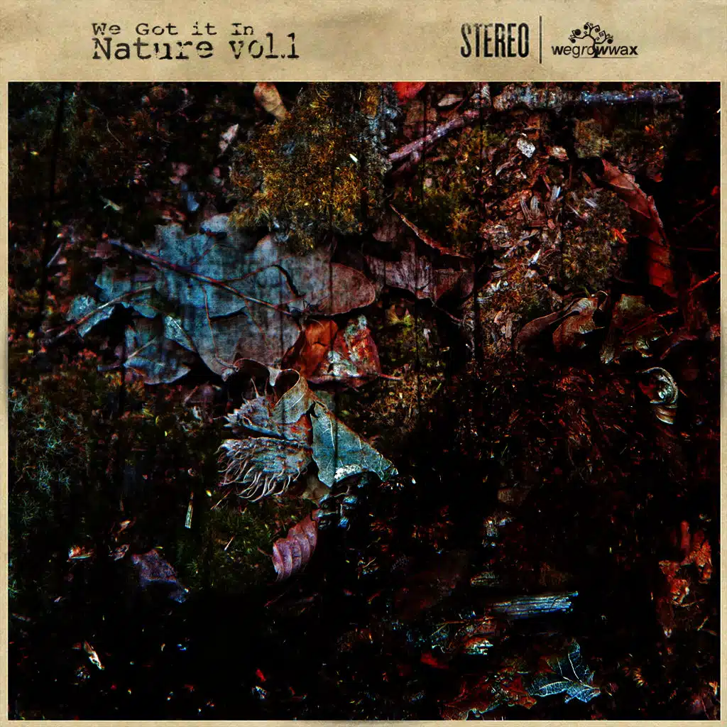 My Dreamy Mind’s Absent