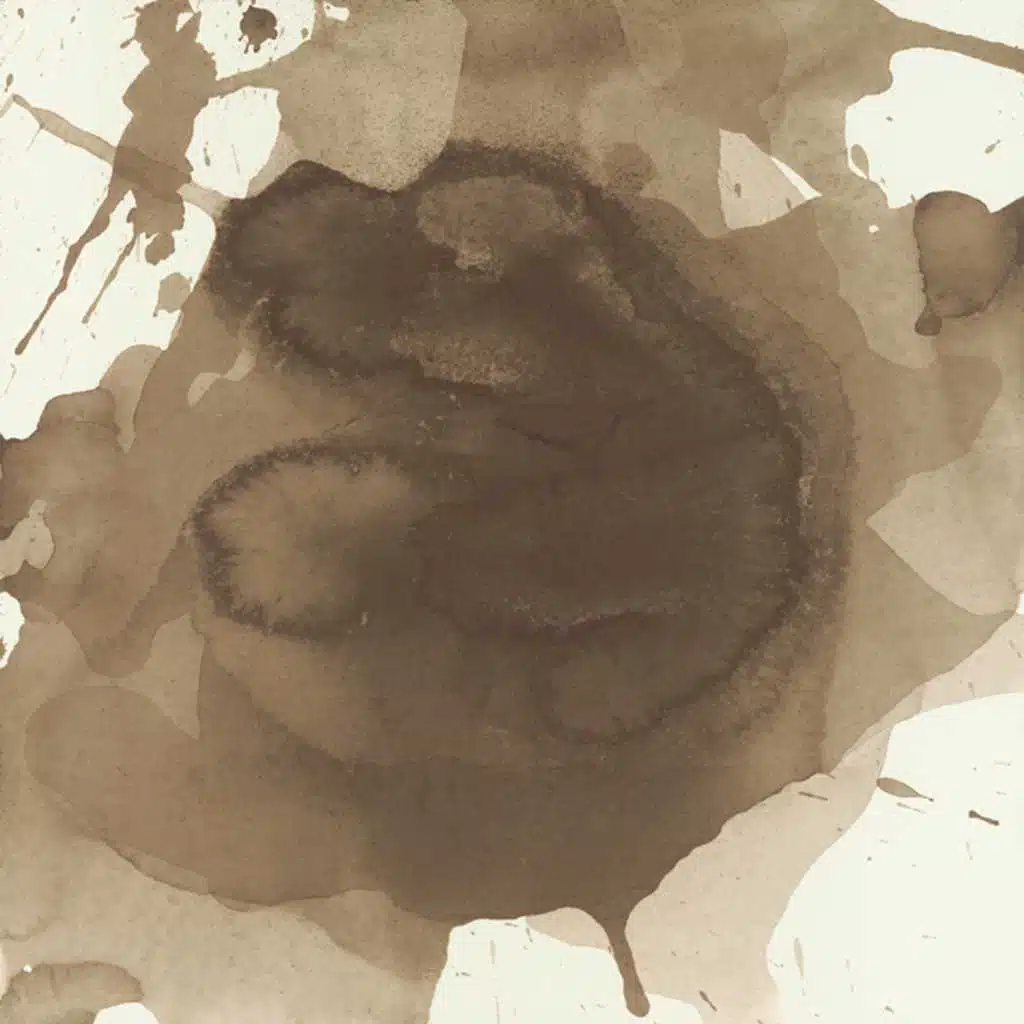 Little Annie & The Legally Jammin'