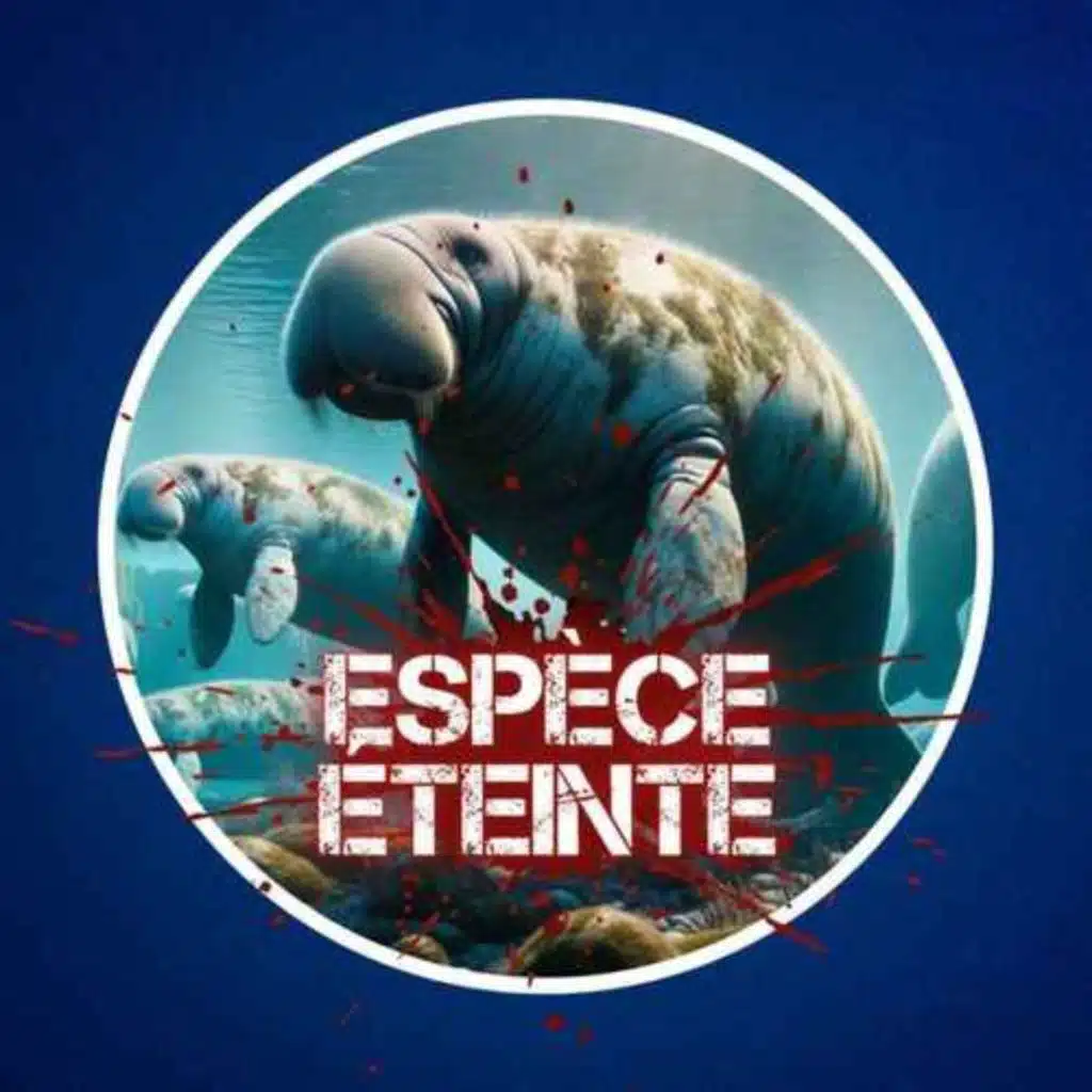 Découverte en 1741, éteinte en 1768 : comment la rhytine de Steller a-t-elle été exterminée ? 🐋