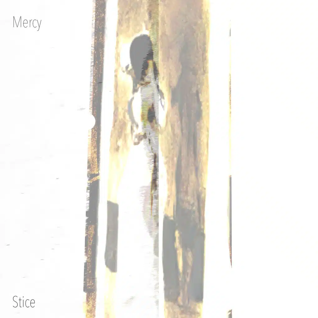 Stice