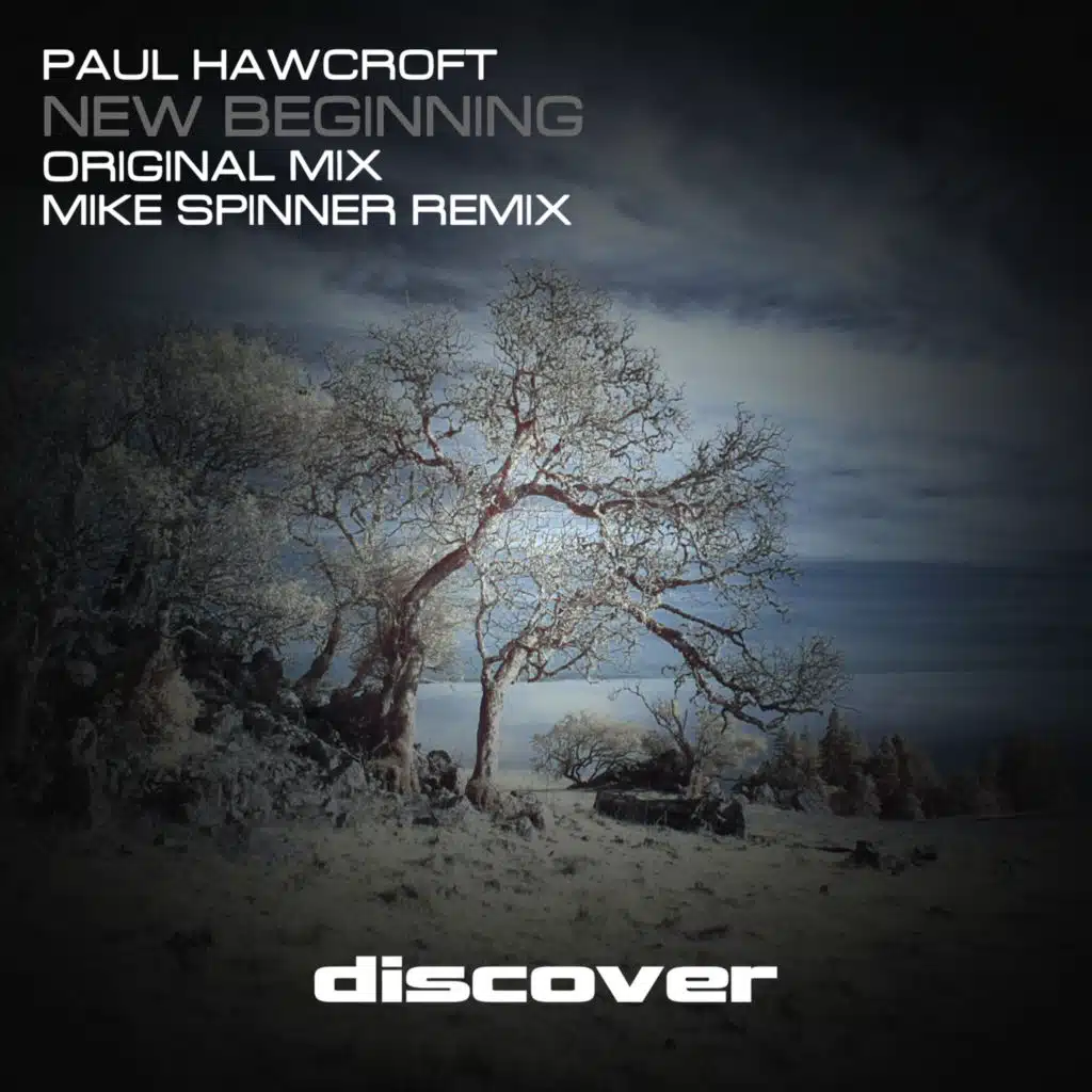 New Beginning (Mike Spinner Remix)