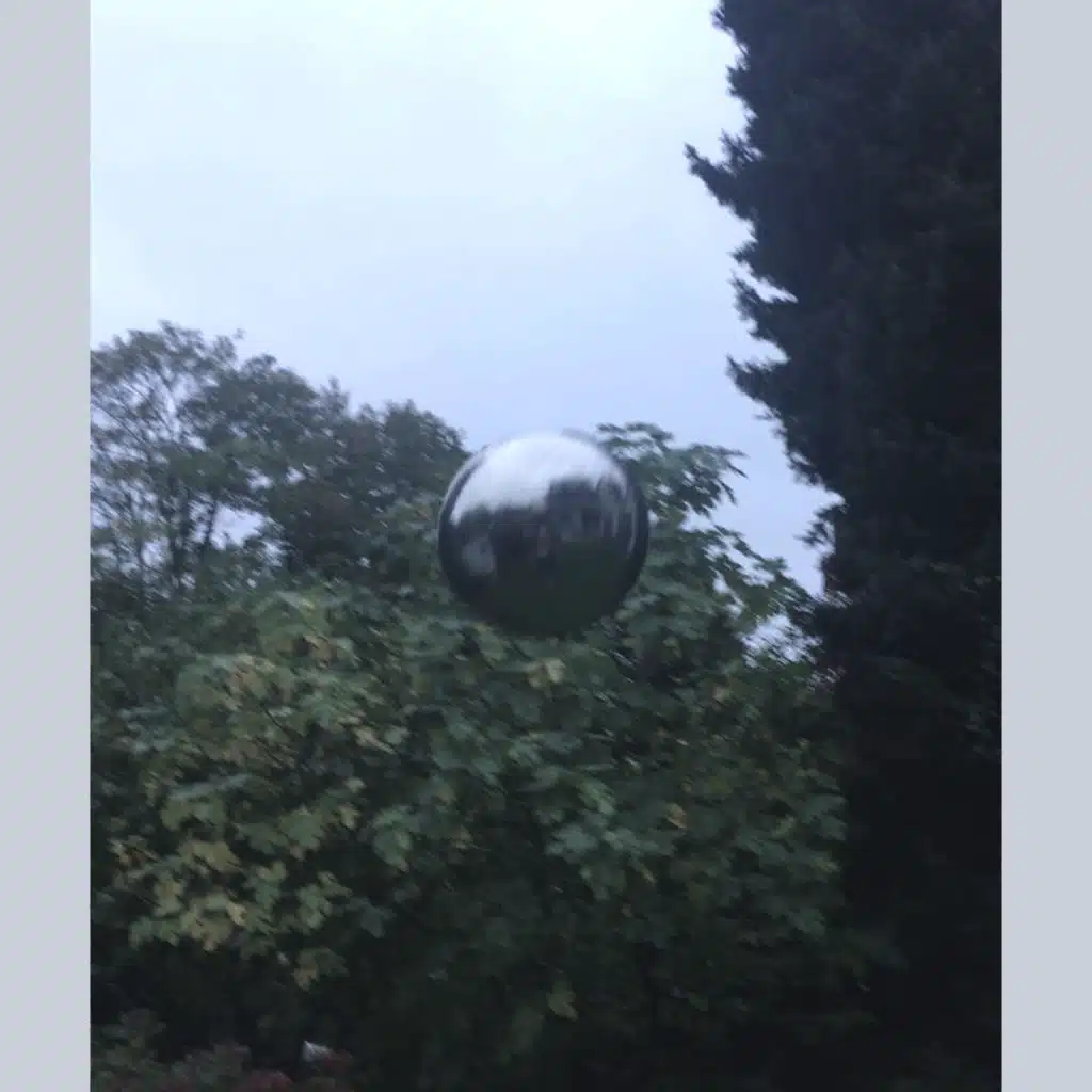 Patrick Alavi