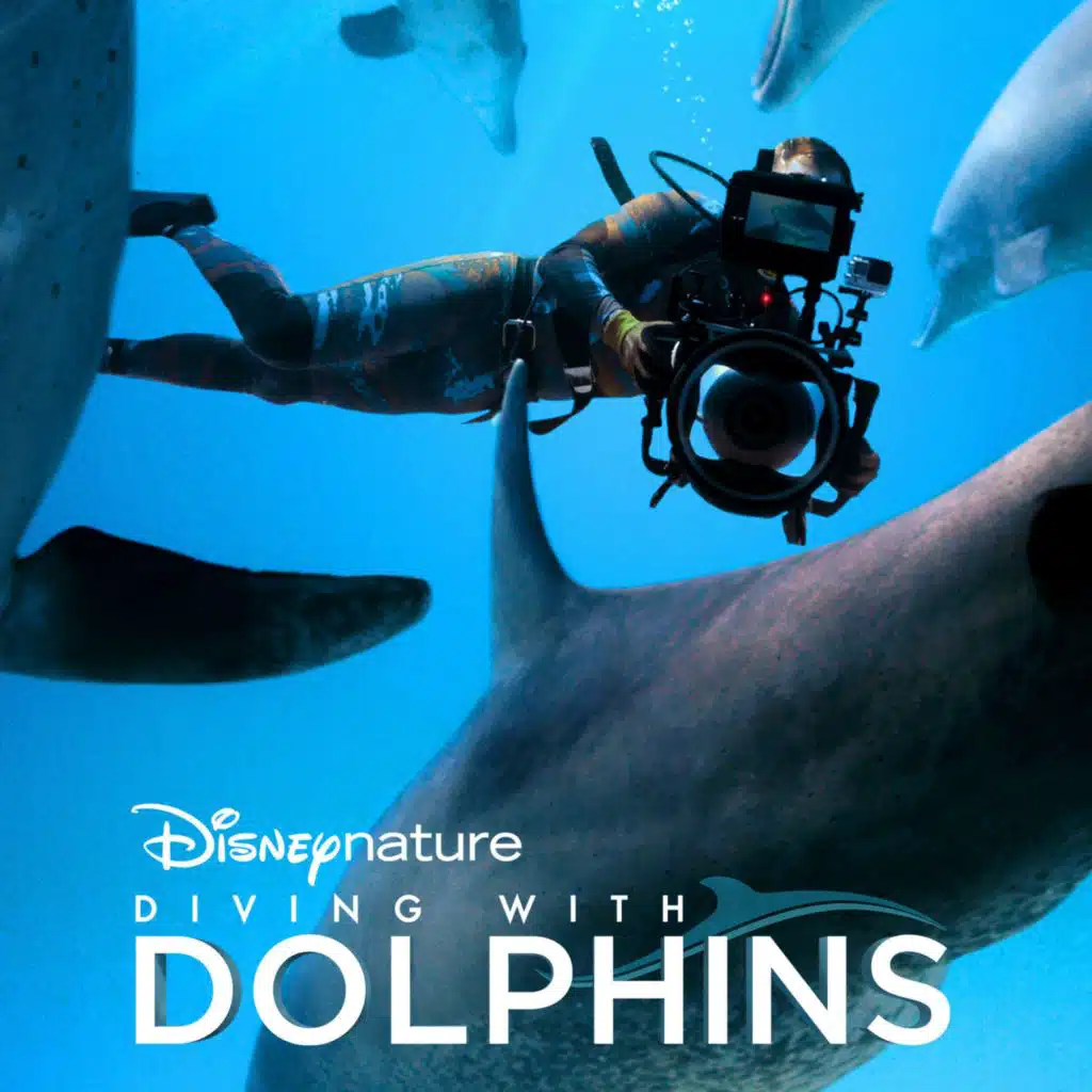 Diving With Dolphins (Full Soundtrack)