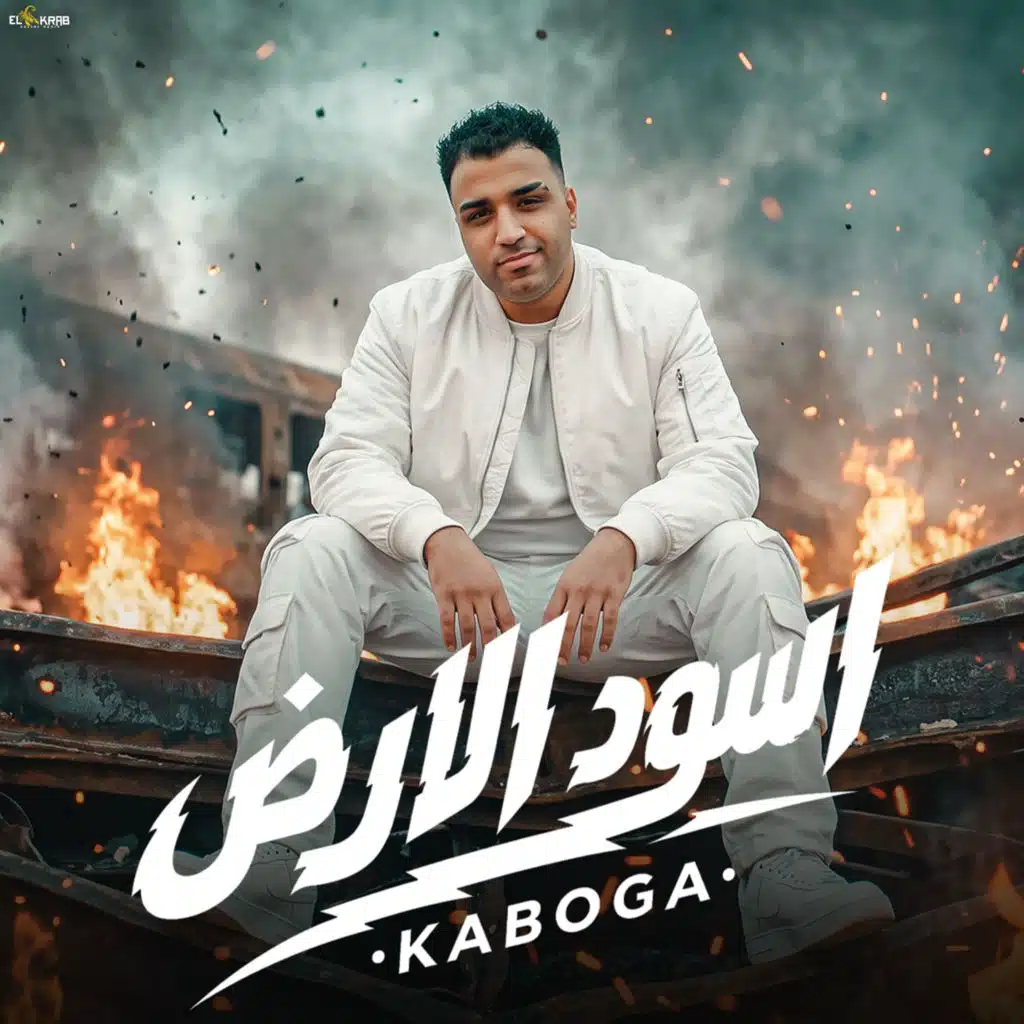 اسود الأرض