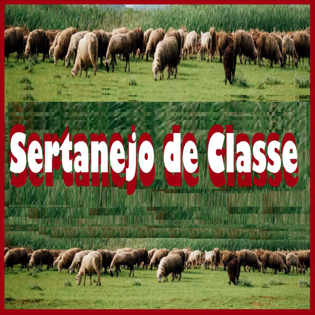 Tubarão e Seresteiro
