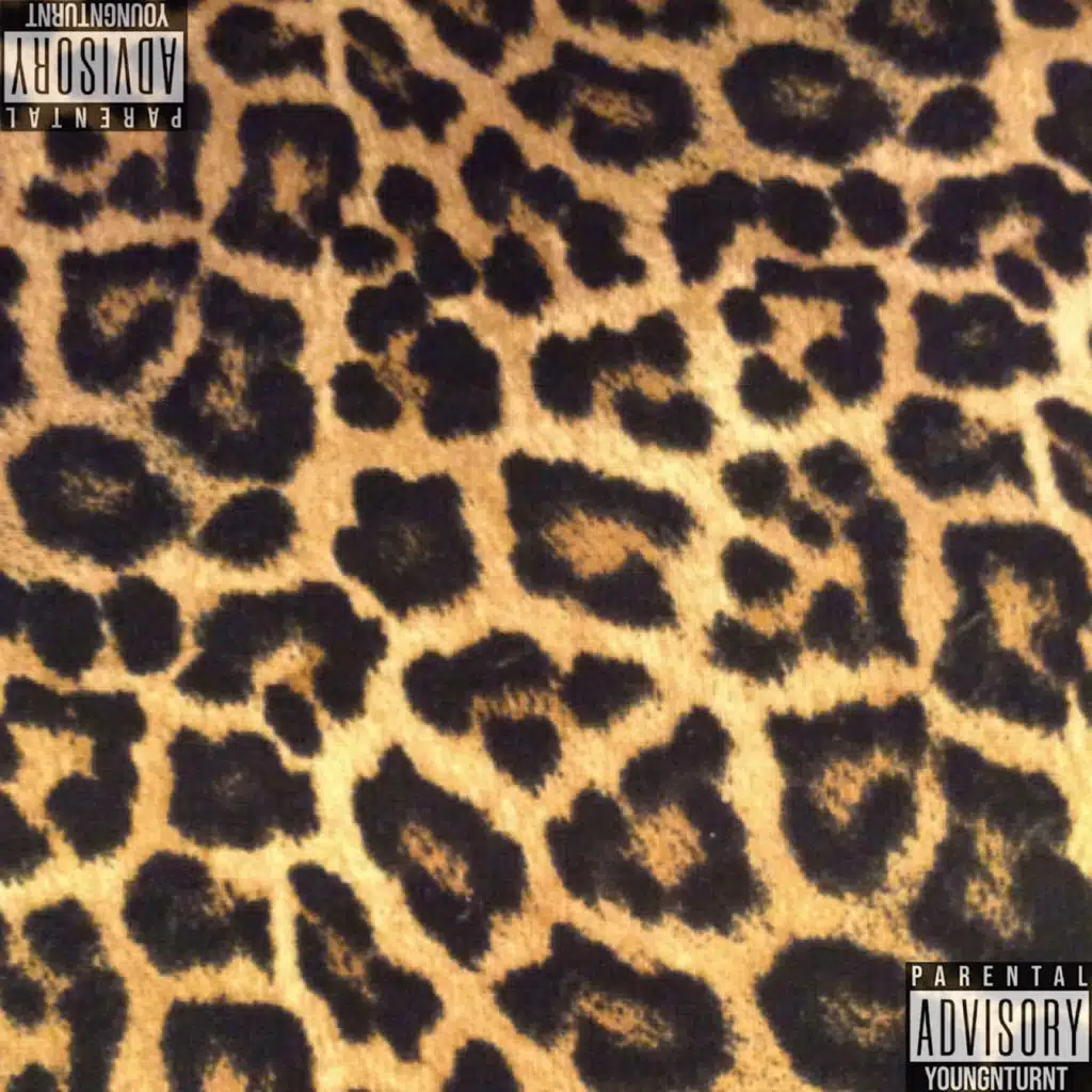 Cheetahprint