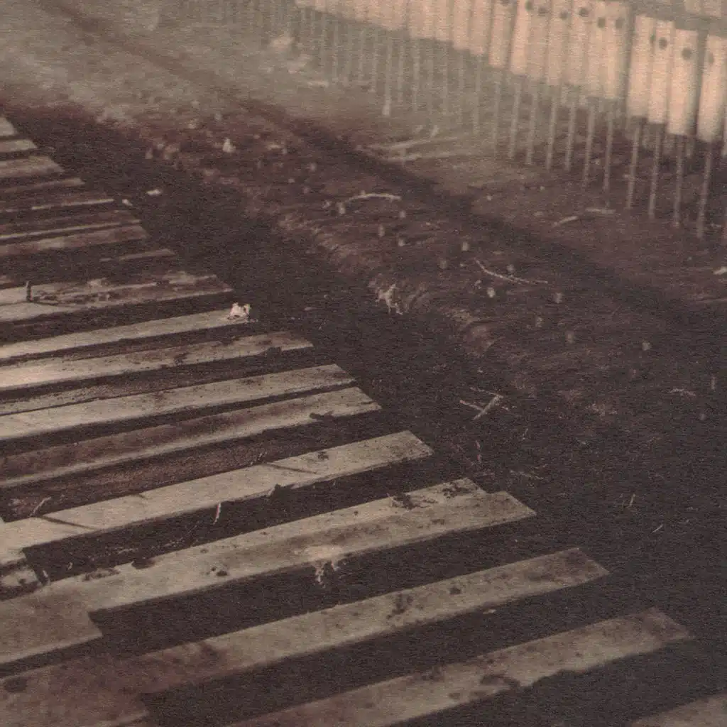 Shock Me (Acoustic Version)