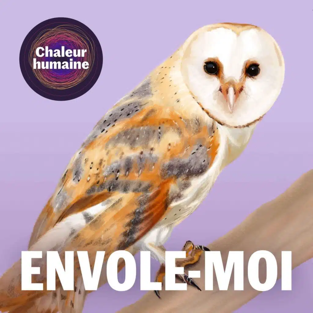 Envole-moi  : La chouette effraie (1/6)