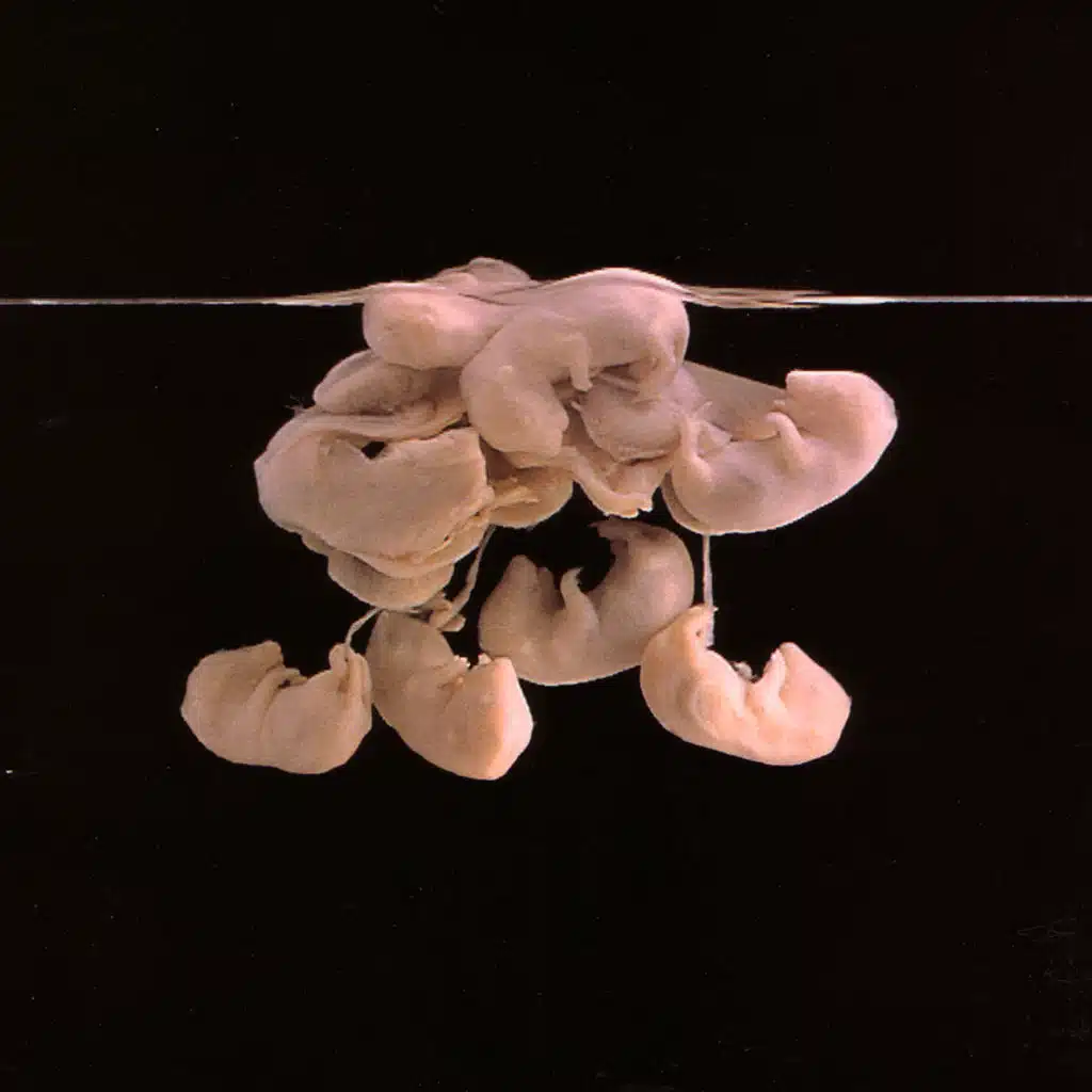 Sad Loved Girl (acoustic)