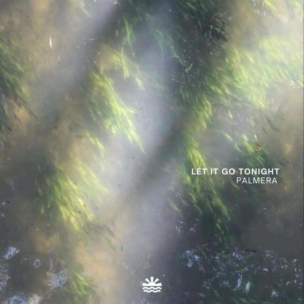 Palmera