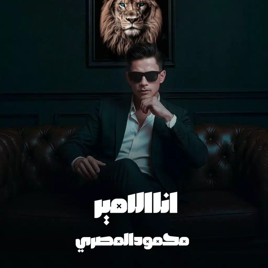 محمود المصرى