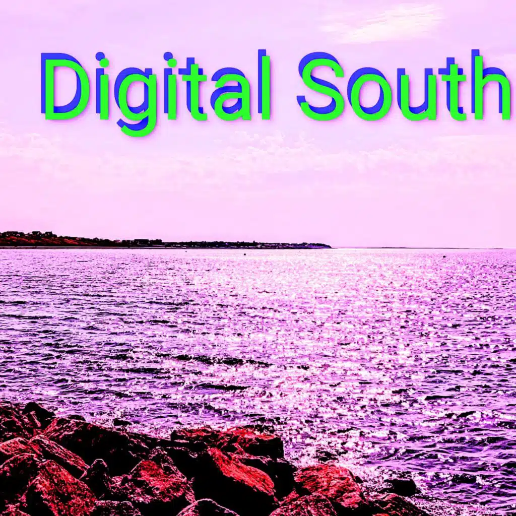 Digital South