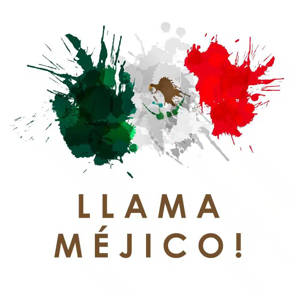 Llama Méjico! (Nueva Música Electrónica)